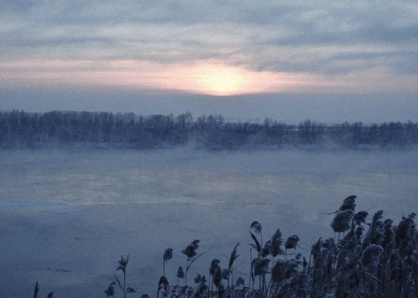 Besneeuwd veld met boomen op de achtergrond met een zonsondergang